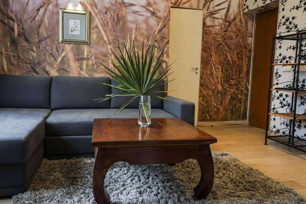 Guest House Senasis Pastas دروسكينينكاي المظهر الخارجي الصورة